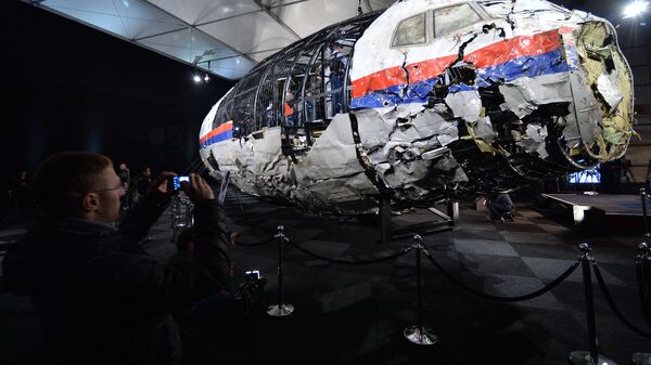 تفاصيل جديدة حول تحطم الطائرة MH17 الماليزية - سبوتنيك عربي