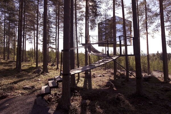 منزل (فندق) على شكل مكعب زجاجي على أغصان شجرة في هارداس، السويد - سبوتنيك عربي