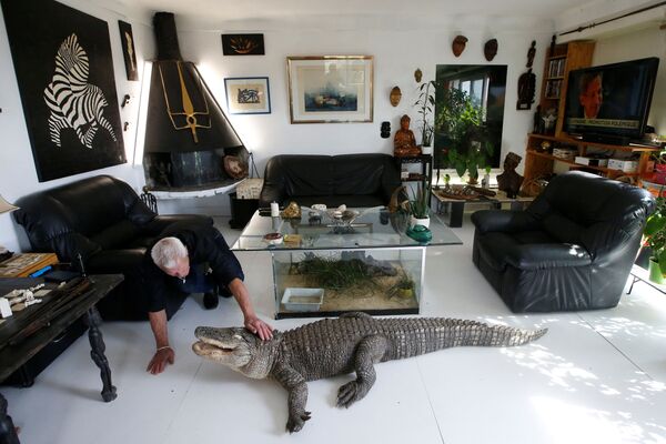 الفرنسي فيليب جوي، 67 عاما، يعيش مع أكثر من 400 زوج من الزواحف، في غرفة معيشته في نونت، فرنسا 19 سبتمبر/ أيلول 2018 - سبوتنيك عربي