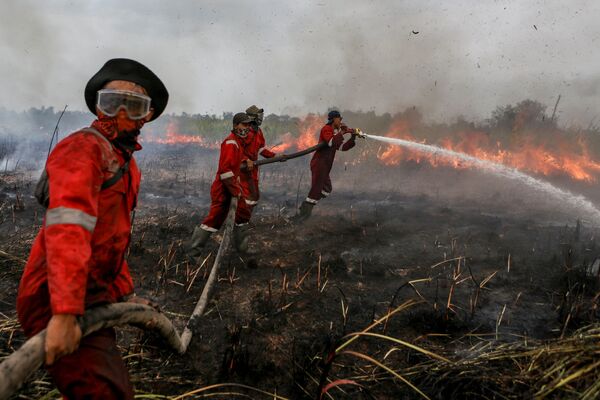 رجال إطفاء الحريق في منقطة أوغان-إيلير في جنول سومطرة، إندونيسيا 18 سبتمبر/ أيلول 2018 - سبوتنيك عربي