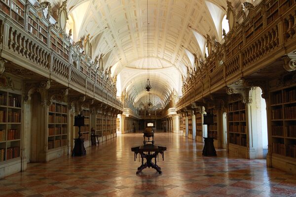 المكتبة الوطنية التابعة لقصر مارفا في البرتغال - سبوتنيك عربي