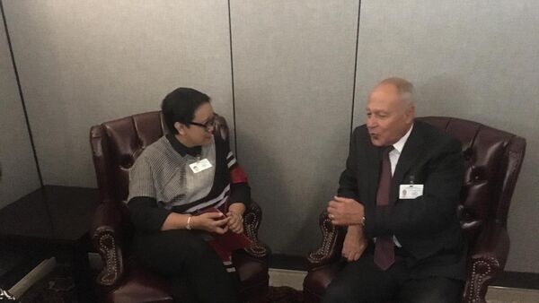 أمين عام جامعة الدولى العربية أحمد أبو الغيط مع وزيرة خارجية إندونيسيا ريتنو مارسودي - سبوتنيك عربي