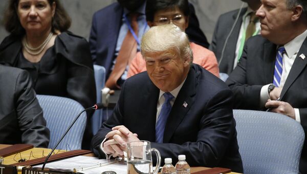 الرئيس الأمريكي دونالد ترامب خلال جلسة مجلس الأمن التي يترأسها - سبوتنيك عربي