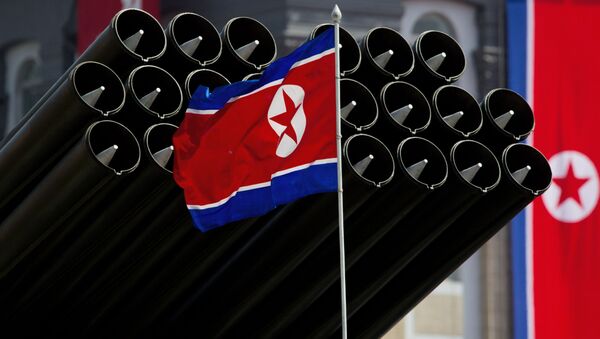 كوريا الشمالية - سبوتنيك عربي