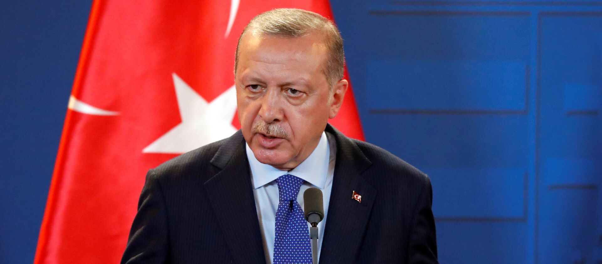 الرئيس التركي رجب طيب أردوغان - سبوتنيك عربي, 1920, 21.10.2018