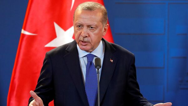 الرئيس التركي رجب طيب أردوغان - سبوتنيك عربي
