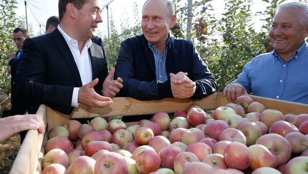 الرئيس فلاديمير بوتين ورئيس الوزراء الروسي دميتري مدفيديف أثناء زيارة عمل إلى الحقل الزراعي راسفيت ستافروبل الروسية 9 أكتوبر/ تشرين الأول 2018 - سبوتنيك عربي