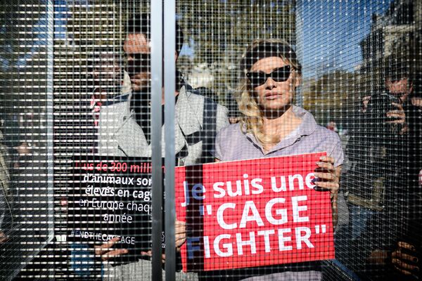 الممثلة الأمريكية باميلا أندرسون ورفيقها ماكسيم ديريميز يشاركان في حملة ضد حجز الحيوانت في أقفاص، المنظمة من قبل منظمة غير حكومية World Farming (CIWF) في باريس، 10 أكتوبر/ تشرين الأول 2018 - سبوتنيك عربي
