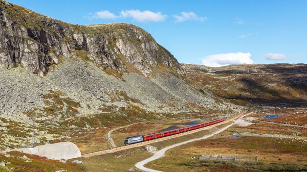 السكة الحديدية التي تربط مدينتي أوسلو وبيرغن في النرويج - سبوتنيك عربي