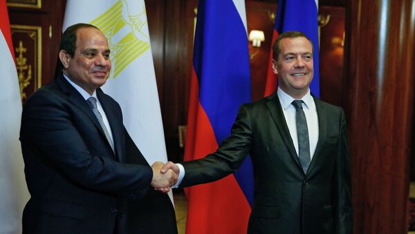رئيس الوزراء الروسي دميتري مدفيديف خلال لقائه الرئيس المصري عبد الفتاح السيسي - سبوتنيك عربي