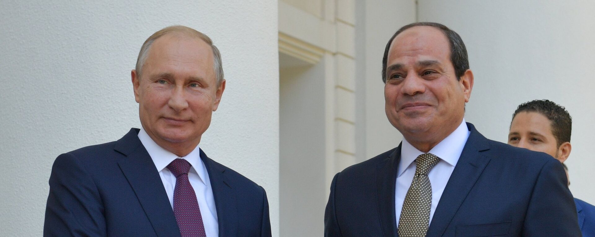 الرئيس الروسي فلاديمير بوتين والرئيس المصري عبد الفتاح السيسي - سبوتنيك عربي, 1920, 08.07.2021