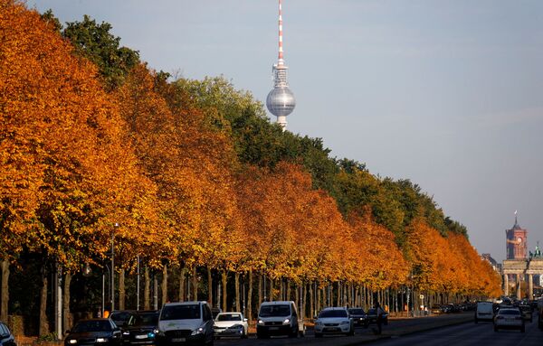 أشجار الخريف في حديقة تيرغارتن (Tiergarten park) في برلين، ألمانيا - سبوتنيك عربي