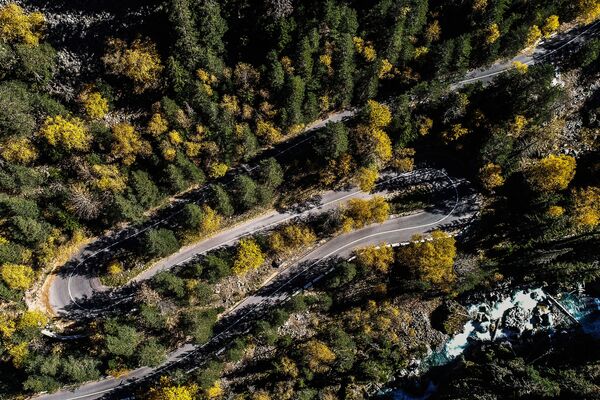 طريق بين أشجار الحديقة الوطنية تيبيردينسك في جمهورية كاراتشايفو-تشيركيسيا الروسية - سبوتنيك عربي