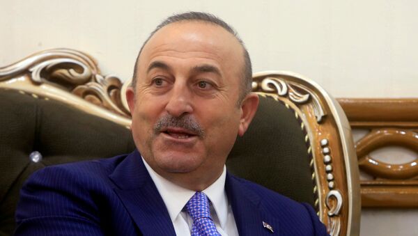 وزير الخارجية التركية مولود جاويش أوغلو - سبوتنيك عربي