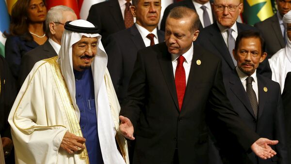 أردوغان وسلمان - سبوتنيك عربي