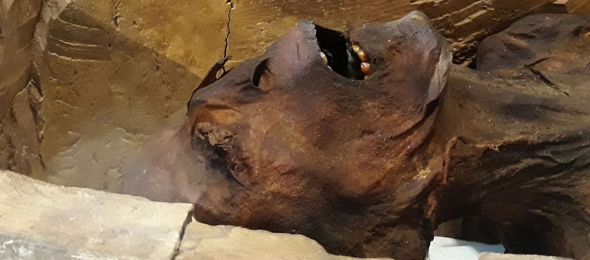المومياء الصارخة في متحف الفاهرة، 14 فبراير/ شباط 2018 - سبوتنيك عربي, 1920, 02.05.2021