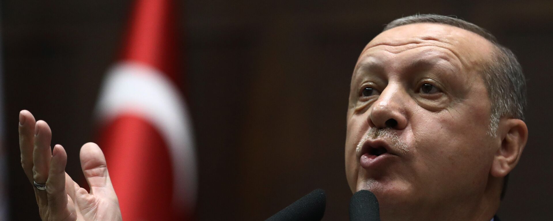 الرئيس رجب طيب أردوغان يلقي كلمة أمام البرلمان التركي، 16 أكتوبر/ تشرين الأول 2018 - سبوتنيك عربي, 1920, 04.11.2022