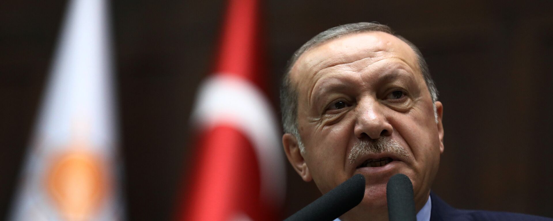 الرئيس رجب طيب أردوغان يلقي كلمة أمام البرلمان التركي، 16 أكتوبر/ تشرين الأول 2018 - سبوتنيك عربي, 1920, 09.12.2022