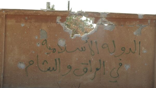 النصرة تسلم داعش عبوتي كيماوي إضافيتين شمالي حماة - سبوتنيك عربي