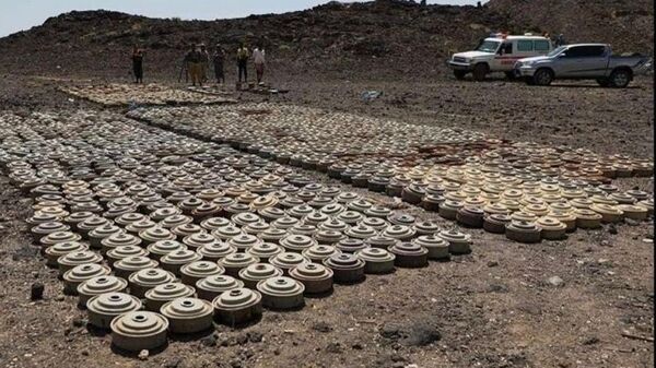 أطراف اتفاقية أوتاوا لحظر الألغام تمدد دعم اليمن لمدة 5 سنوات