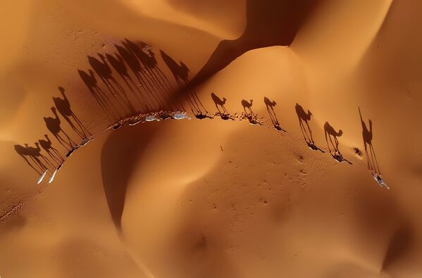 صورة بعنوان Migration، للمصور خالد السبت، الحاصل على المرتبة الثانية في فئة جمال الطبيعة - سبوتنيك عربي