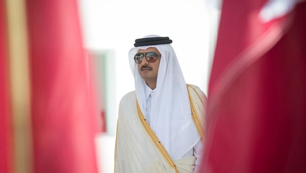 أمير قطر تميم بن حمد آل ثاني - سبوتنيك عربي
