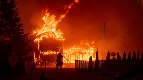 حريق في غابات كاليفورنيا - سبوتنيك عربي