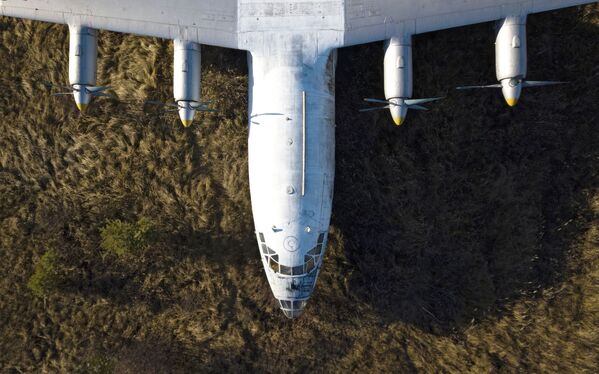 طائرة آن-10أ - سبوتنيك عربي