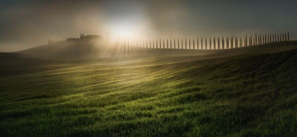 صورة بعنوان تمشيط شعاع الشمس، للمصور فيسيلين أتاناسوف، الفائزة في مسابقة EPSON  - سبوتنيك عربي