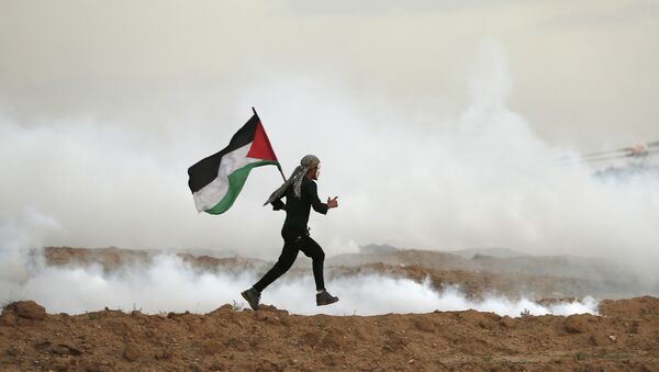 فلسطيني يركض بالقرب من الحدود بين قطاع غزة وإسرائيل، 16 نوفمبر/ تشرين الثاني 2018 - سبوتنيك عربي