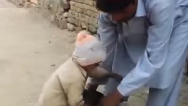 بالفيديو...طفل ينقذ حياة دجاجة من الذبح - سبوتنيك عربي