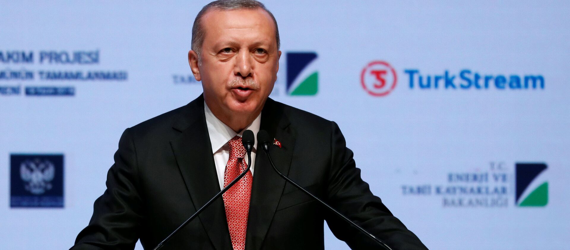 الرئيس التركي رجب طيب أردوغان - سبوتنيك عربي, 1920, 17.12.2018