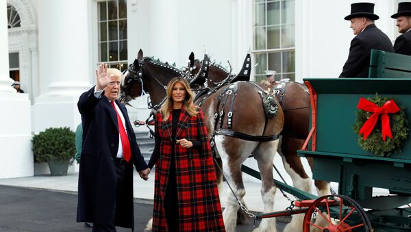 الرئيس الأمريكي دونالد ترامب وزوجته ميلانيا ترامب يتلقيان شجرة عيد الميلاد الرسمية في البيت الأبيض في نورث بورتيكو بالبيت الأبيض في واشنطن، الولايات المتحدة، 19 نوفمبر / تشرين الثاني، 2018. - سبوتنيك عربي