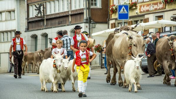 الأبقار في سويسرا - سبوتنيك عربي