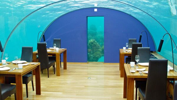 مطعم تحت الماء في فندق Conrad Maldives Rangali Island، جزر المالديف - سبوتنيك عربي