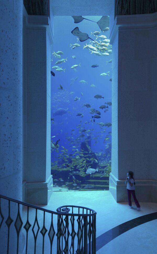 فندق Atlantis The Palm في دبي، الإمارات العربية المتحدة - سبوتنيك عربي