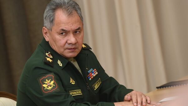 وزير الدفاع الروسي سيرغي شويغو، 19 نوفمبر/ تشرين الثاني 2018 - سبوتنيك عربي
