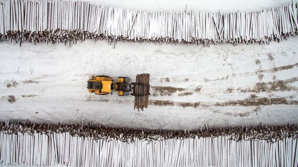 مستودع المواد الخام من مجمع لصناعة الأخشاب من كراسليسينفيست في حي من إقليم كراسنويارسك الروسي - سبوتنيك عربي