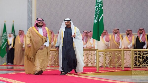 ولي عهد أبو ظبي محمد بن زايد يستقبل ولي العهد السعودي الأمير محمد بن سلمان - سبوتنيك عربي