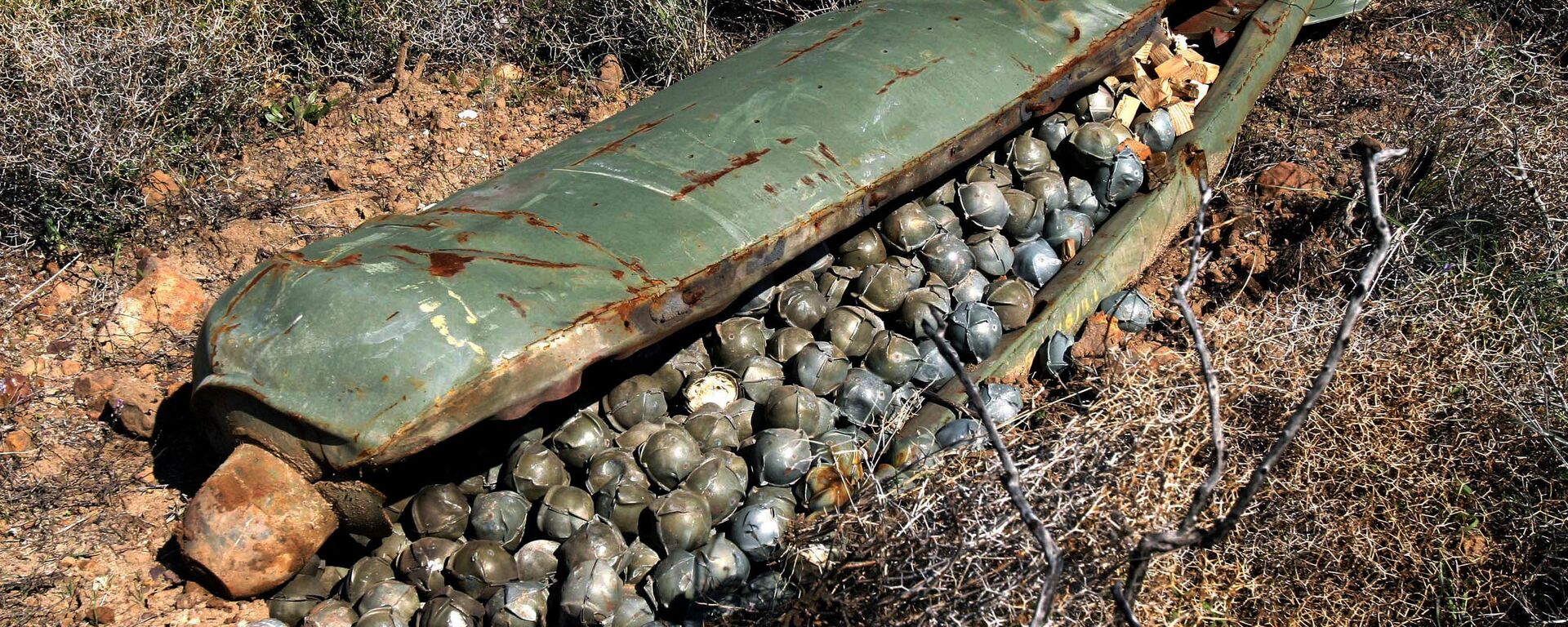 القنبلة العنقودية - سبوتنيك عربي, 1920, 06.08.2023