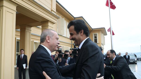 الرئيس التركي رجب طيب أردوغان يستقبل أمير قطر الشيخ تميم بن حمد آل ثاني لدى وصوله لاجتماع في اسطنبول، 26 نوفمبر/تشرين الثاني 2018 - سبوتنيك عربي