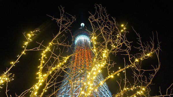 برج التلفزيون طوكيو سكايتر (Tokyo Skytre)، اليابان - سبوتنيك عربي