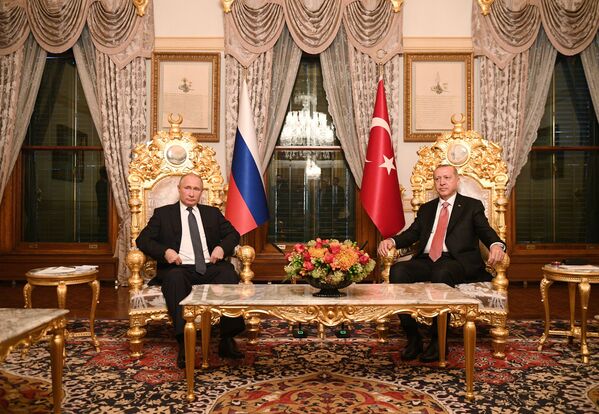 الرئيس الروسي فلاديمير بوتين يلتقي بالرئيس التركي رجب طيب أردوغان في اسطنبول، 19 نوفمبر/ تشرين الثاني 2018 - سبوتنيك عربي