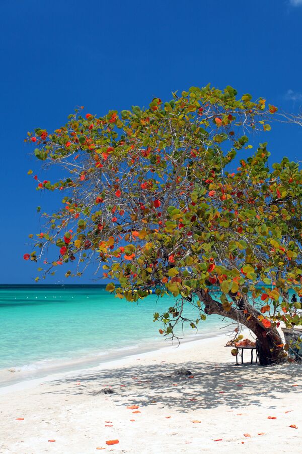 شاطئ سيفن مايل في جامايكا - سبوتنيك عربي