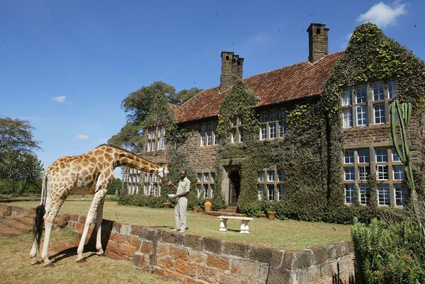 فندق جيراف مانور (Giraffe Manor) في نيروبي، كينيا - سبوتنيك عربي