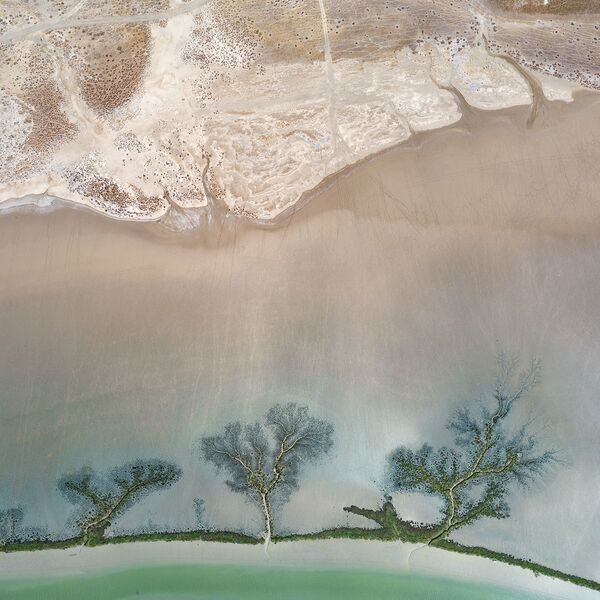 بركة ملح بَرباط، بعد عقود من الجفاف، بالقرب من الكثبان الرملية في منطقة الأندلس، جنوب إسبانيا - سبوتنيك عربي