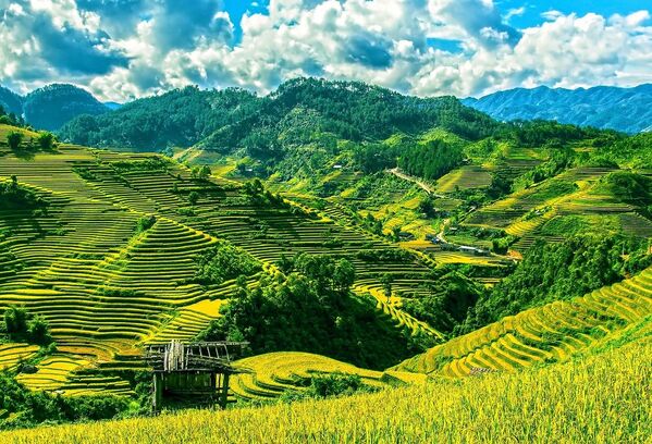تراسات الأرز مو تشانغ تشاي على المناظر الطبيعية الجبلية في فيتنام - سبوتنيك عربي