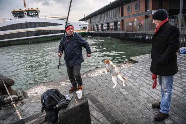 قط يقفز للإمساك بالسمكة التي اصطادها الصياد في خليج البوسفور، اسطنبول، تركيا 12 ديسمبر/ كانون الأول 2018 - سبوتنيك عربي