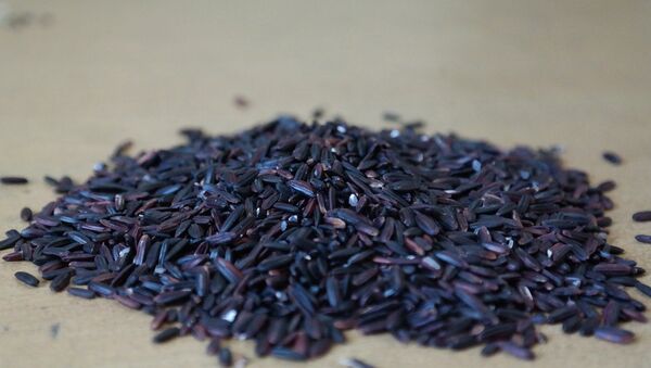 الأرز الأسود - سبوتنيك عربي