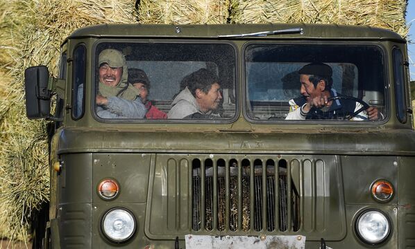 عمال في سيارة الشاحنة أثناء جمع التبن في السهوب المنغولية - سبوتنيك عربي